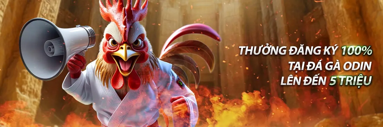 Đá gà Thomo Campuchia NEW888 APP